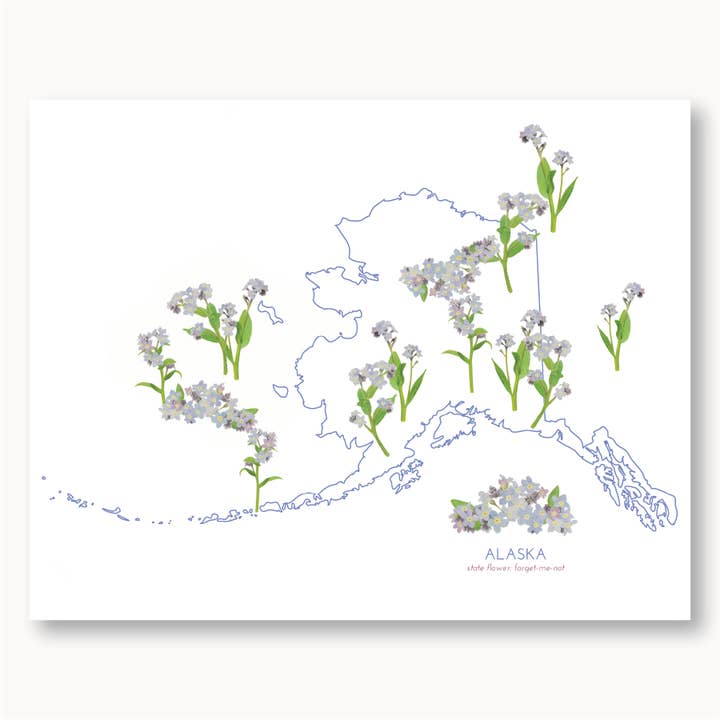 Alaska Forget-me-not State Flower Print for wholesale by Sophie Tivona Paper