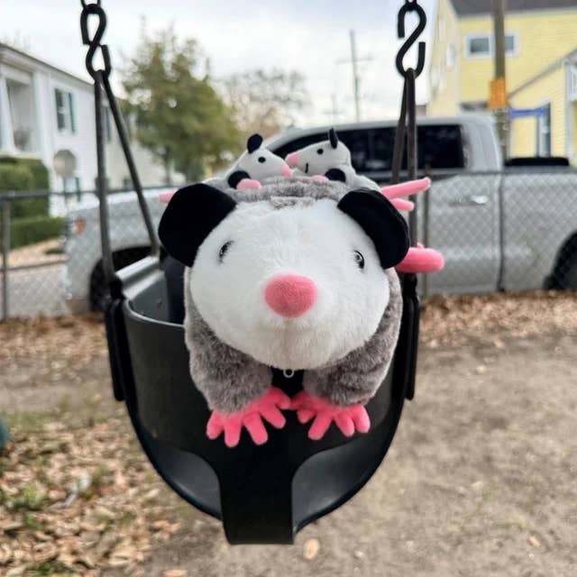 Snuggle Time Sesame (with Seedlings!) for wholesale by Sesame the Opossum