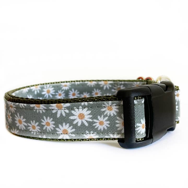 De Bellis Sage Green Daisy Flower hondenhalsband voor wholesale door Sew Fetch Dog Co