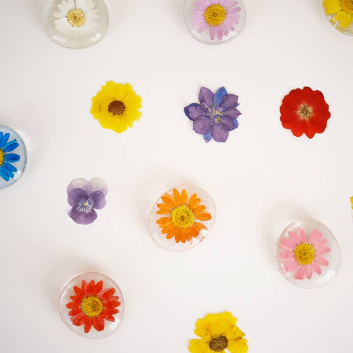 Sunnie Lane - Wholesale Magnet - Real Flower Magnet - Glass Magnet