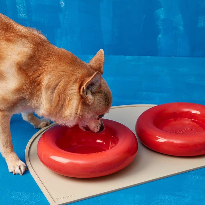 HotDog Pets - Wholesale Pet Bowl - Cat/Dog - Red ceramic dog feeder0