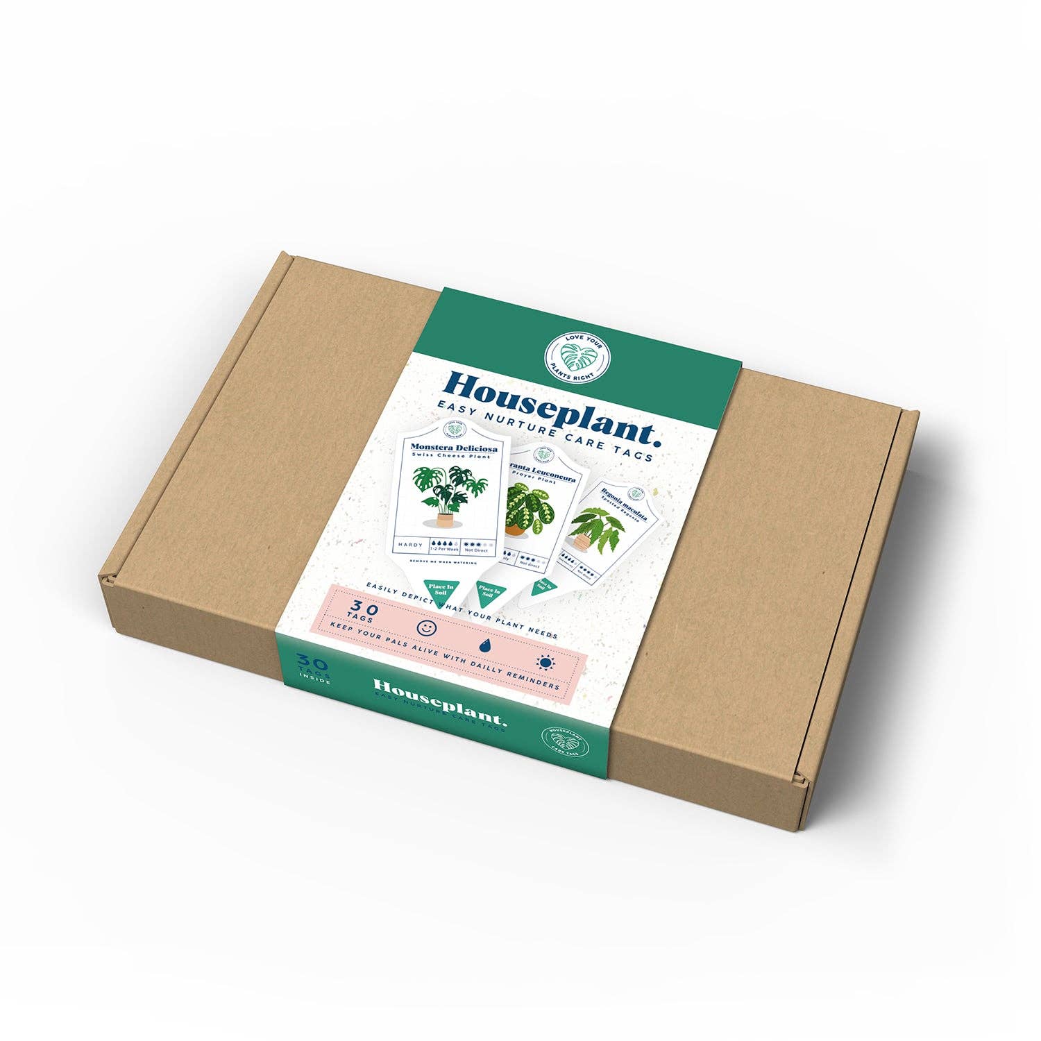 William Valentine Collection - Wholesale Sticker - Bubblegum Stuff - Houseplant Care Tags1