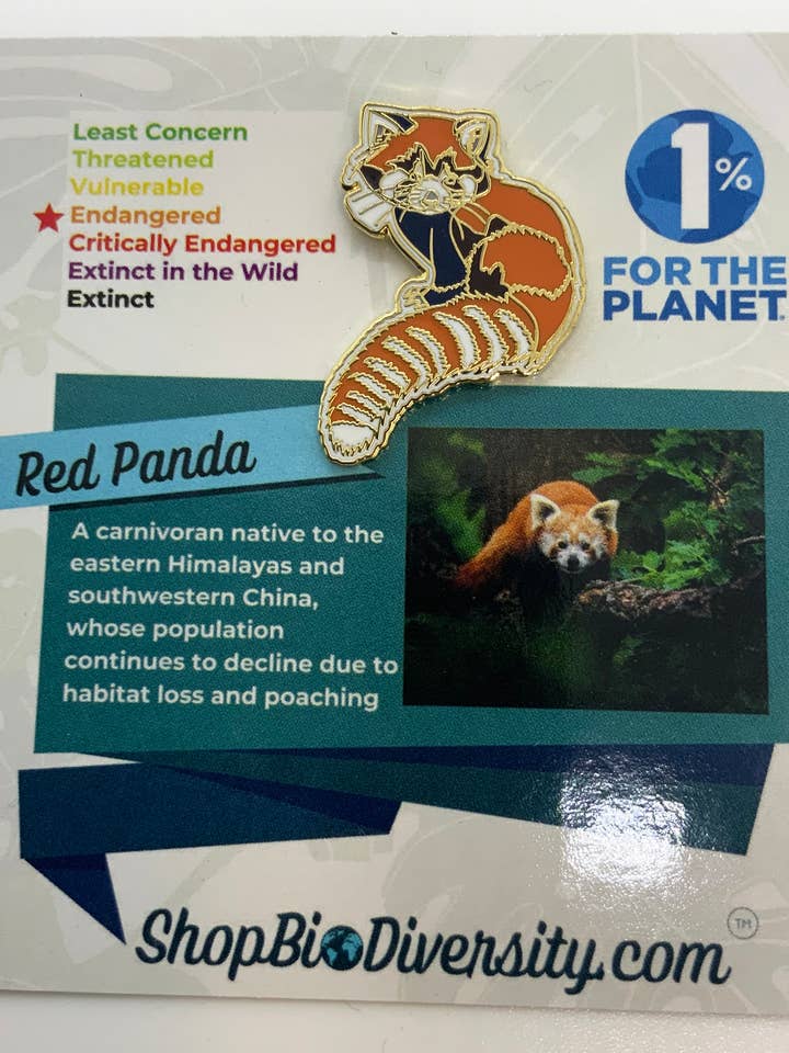 Panda Vermelho Pin de Esmalte - Presente de Vida Selvagem por atacado de Shop BioDiversity