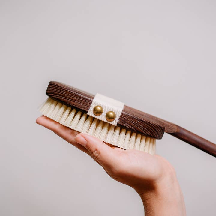 Quality brush skin body dark wood made in Germany for wholesale by Croll & Denecke