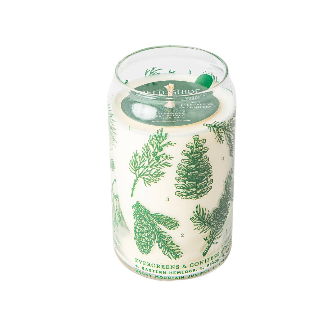 Field Guide Essentials - Wholesale Jar/Filled Candle - Evergreens & Conifers Field Guide Soy Candle
