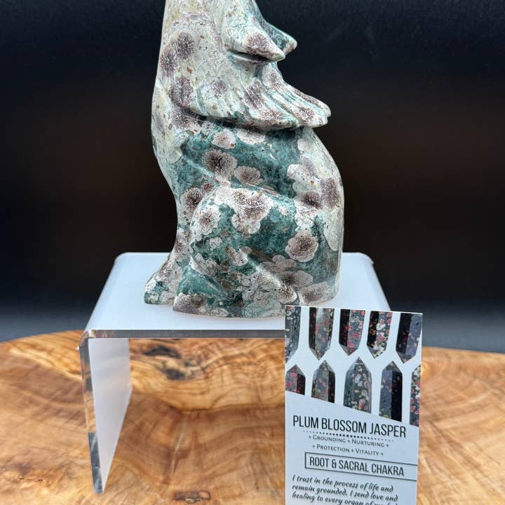 5,6" Jaspe fleur de prunier loup hurlant avec carte d'information H311 pour la vente par The 7 Directions