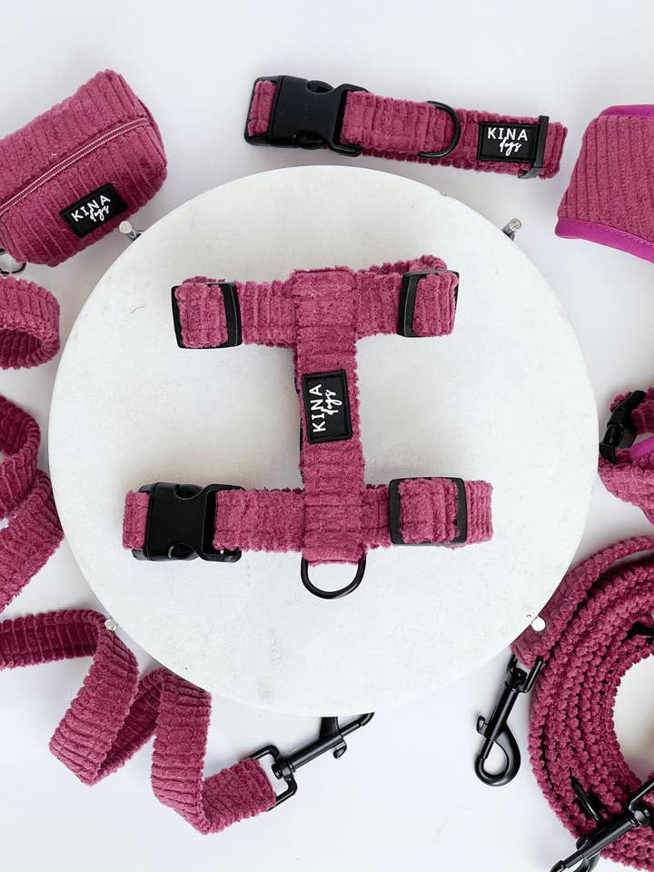 ARNÉS - Basic Pana Bougainvillea för wholesale av Kina Dogs