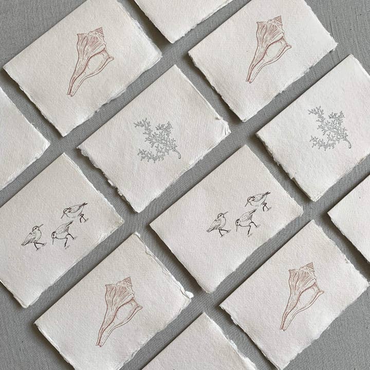 Coastal Set // Deckled Edge Cards for wholesale by Jen Simpson Design