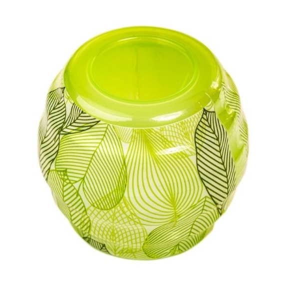 Tecno fly trap for wholesale by Fackelmann