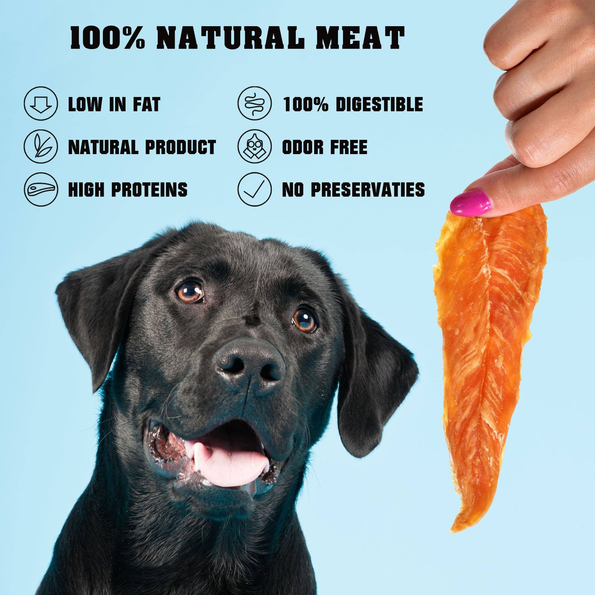 Beloved Pets - Wholesale Pet Treats - Dog - Chicken Jerky Slices Dog Treats 1.5 Lb - Human Grade Pet Snacks & Grain Free Meat - All Natural High Protein Dried Strips - Best Chews for Training Small & Large Dogs - Bulk Soft Pack4