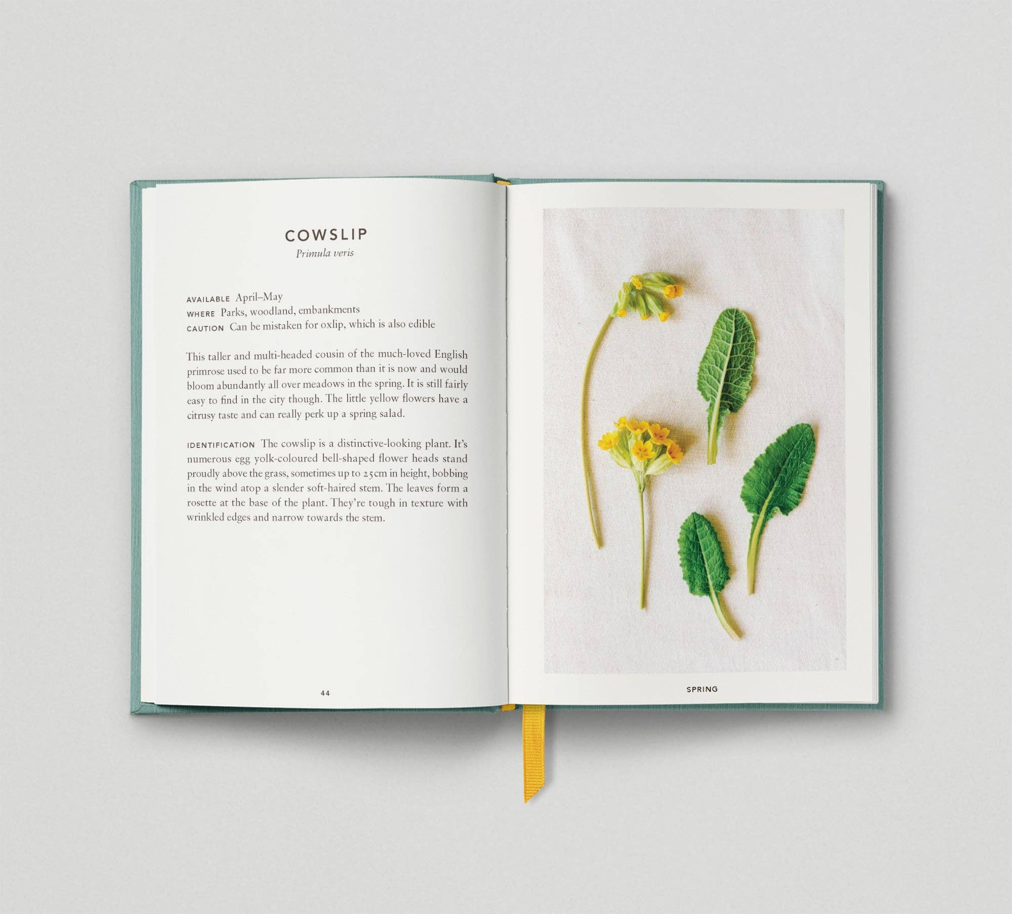 Hoxton Mini Press – wholesale Cookbooks and food – The Urban Forager3