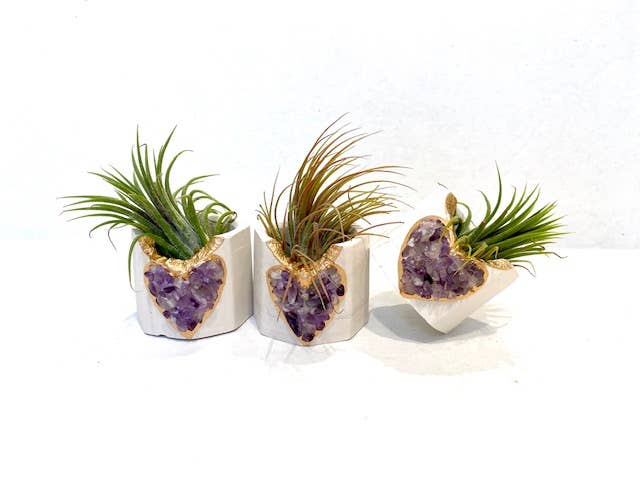 Plant One On Me Designs - Wholesale Plant pot - Amethyst HEART Geode Planter w/ Air Plant - Air Plant Holder4