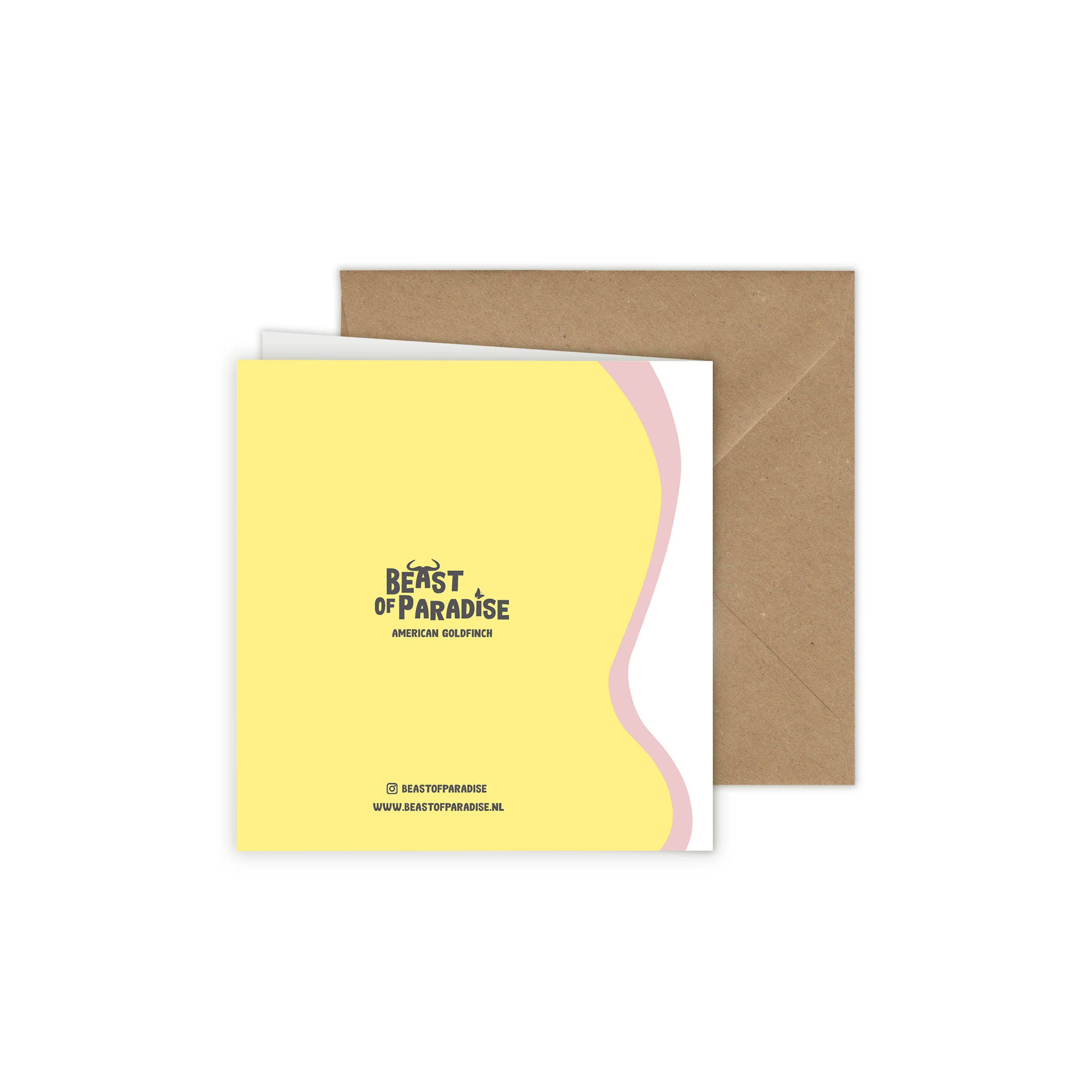Beast of Paradise - Vendita all'ingrosso Biglietti di auguri - Biglietti di Auguri con Uccelli, Set di 10 Biglietti, Biglietti di Auguri con Animali9