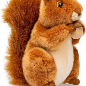 Squirrel stuffed outlet