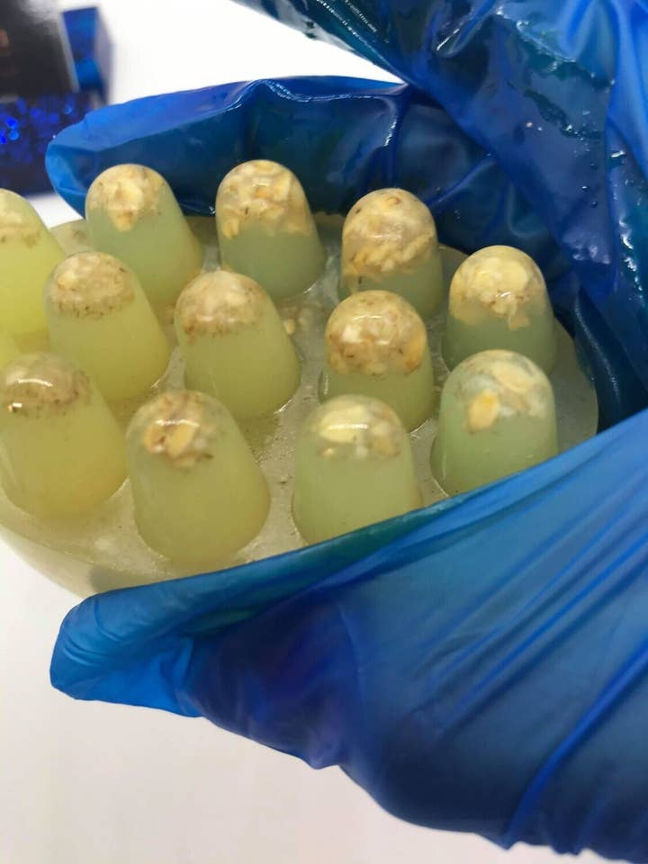 Havregryn skønhed bar for engroshandel hos T.C Natural Collection