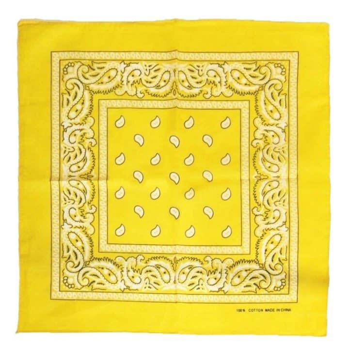 Topkids Accessories - Wholesale Bandana - Unisex - Paisley Bandanas Hair Bands Headbands Women Men Dogs Head Bands Festival Bike Accessories Face Masks Holiday Essentials Head Scarf6