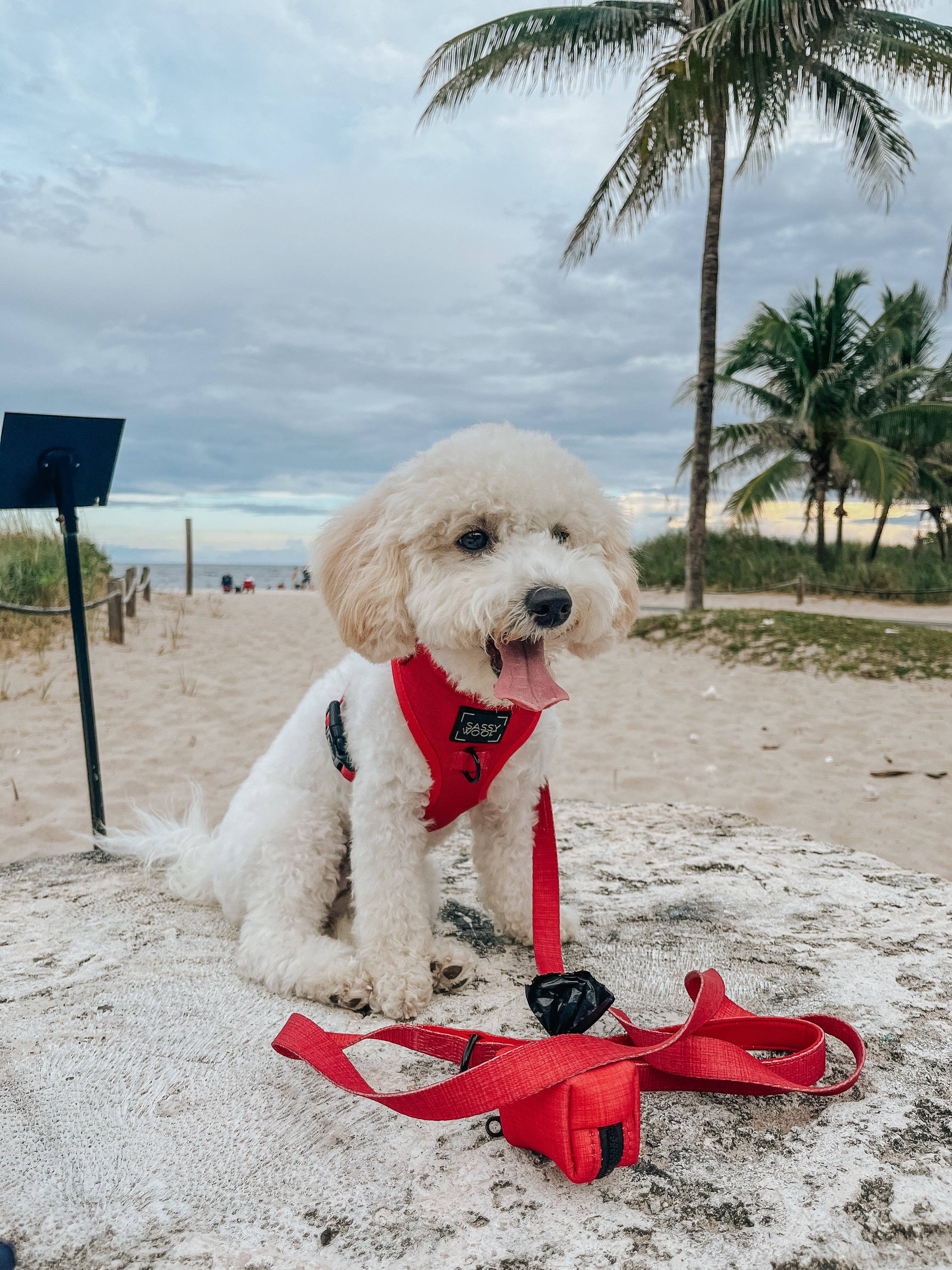 SASSY WOOF - Wholesale Pet Poop Bag Dispenser - Dog Waste Bag Holder - Merlot4