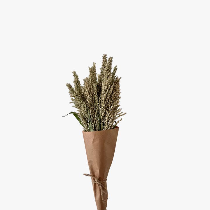 Dried Vase Filler - Sorghum for wholesale by Behle Farm