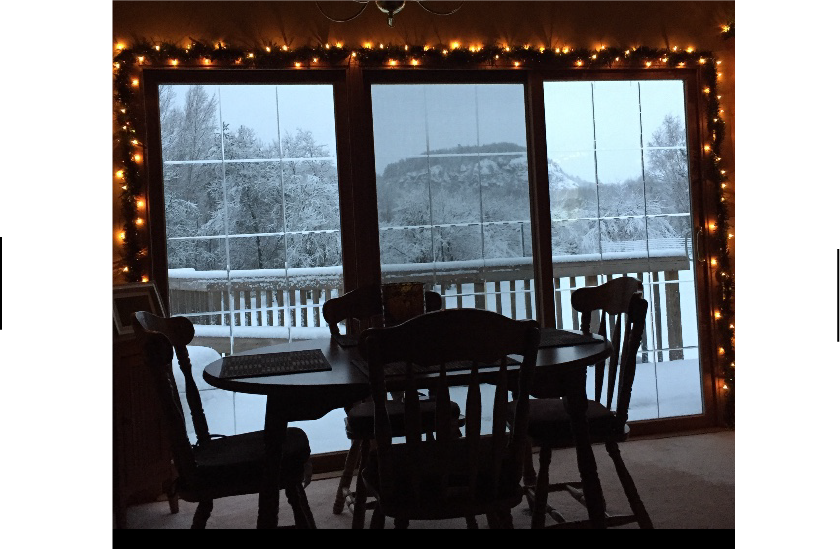 DecoTies - Wholesale Christmas Decoration - DecoTies® Combo Pack (12 Original +12 Heavy-Duty 3lb)6