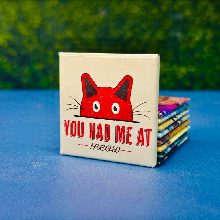Snap It Stick It - Wholesale Magnet - You Had Me at Meow – Cute Cat Magnet Gift for Cat Lovers2