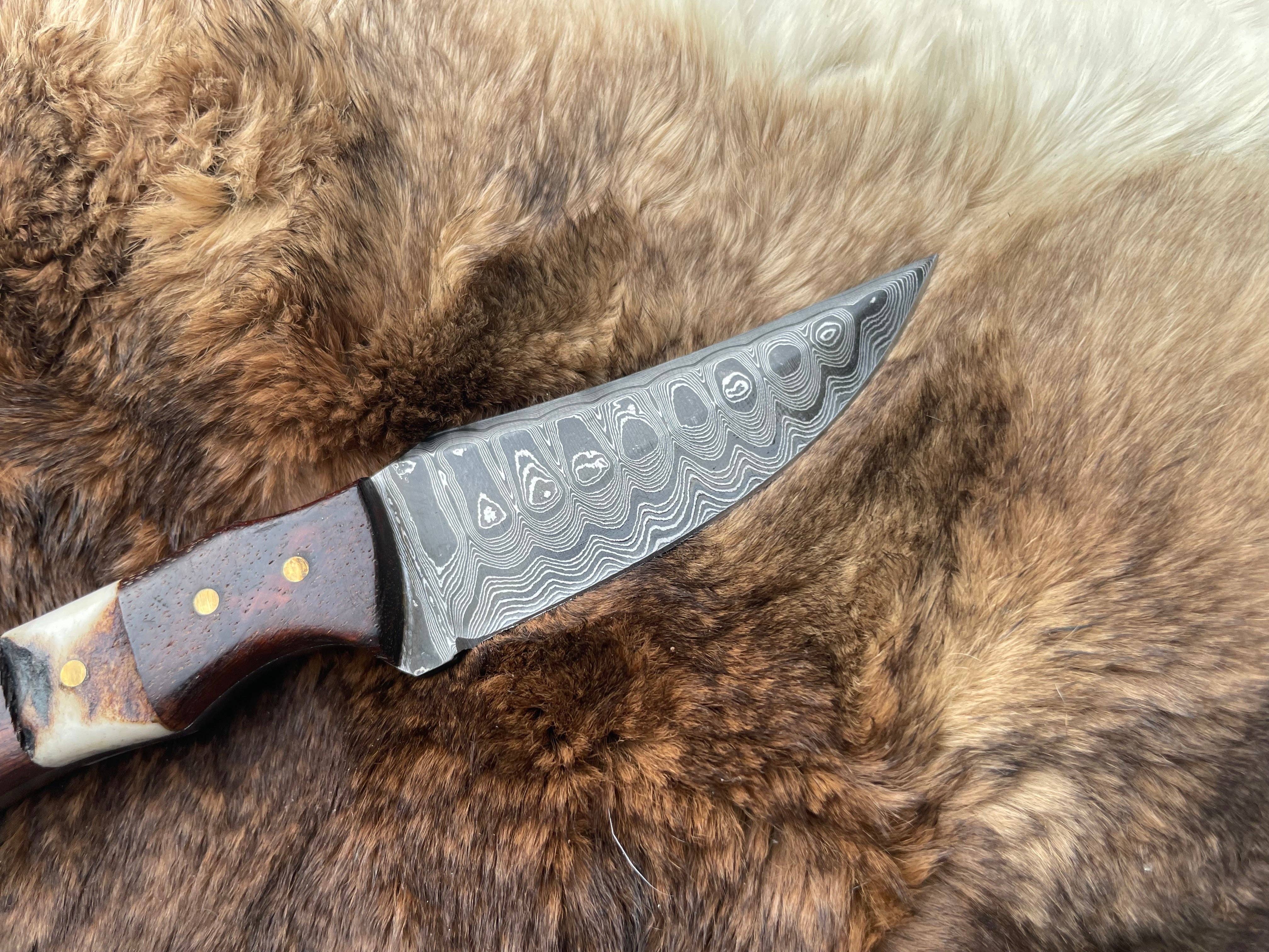 Titan International - Wholesale Pocket Knife/Holder - Introducing the Titan TK-060 Damascus Steel Skinner Knife with Rosewood & Stag Grip3