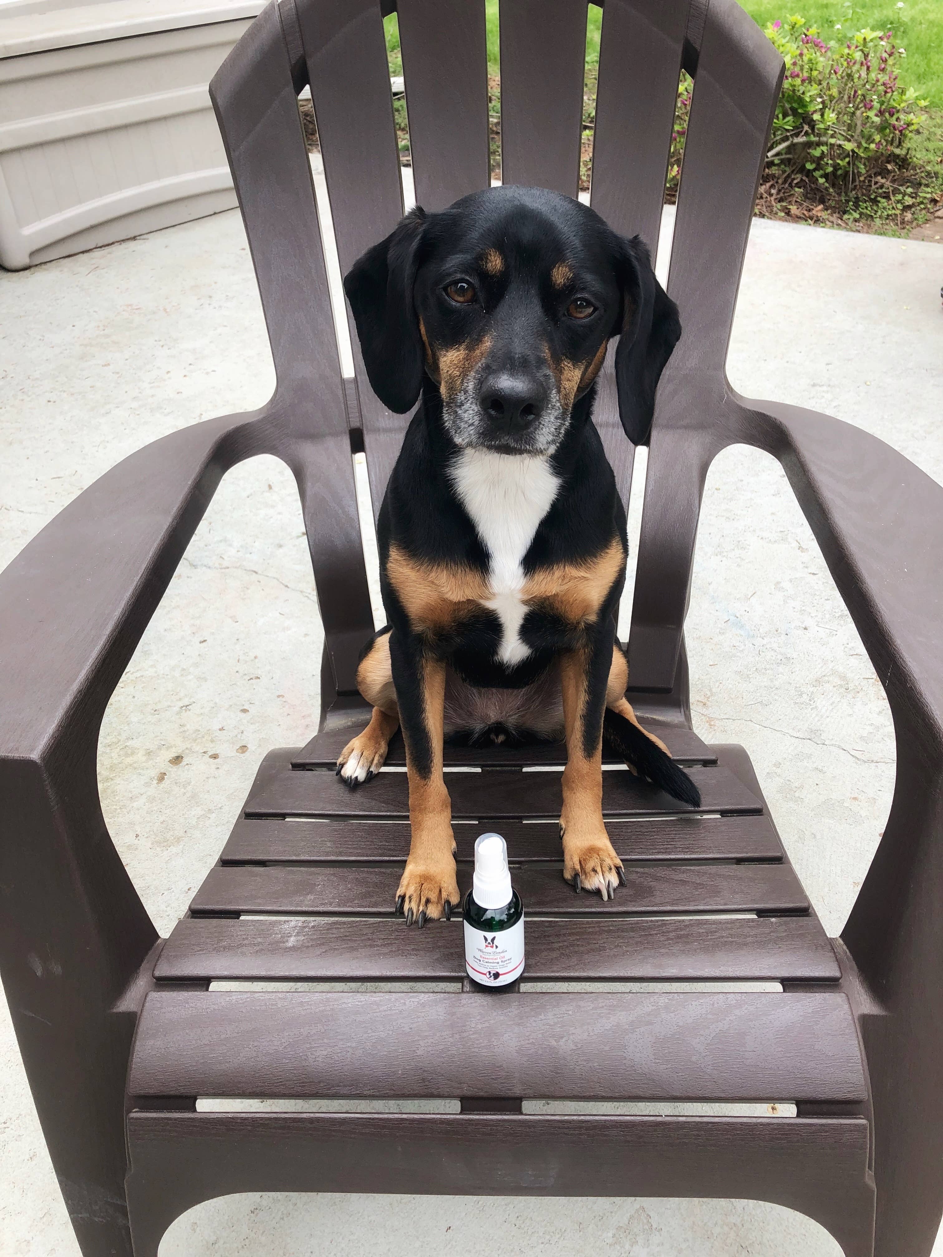 Warren London Dog Products - Wholesale Pet Spray - Dog - Essential Oil Dog Calming Spray - 2.5 oz7