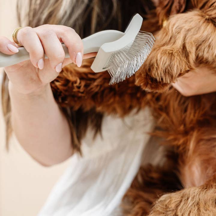 Pupwell - Wholesale Pet Brush - Cat/Dog - Everyday Slicker Brush6