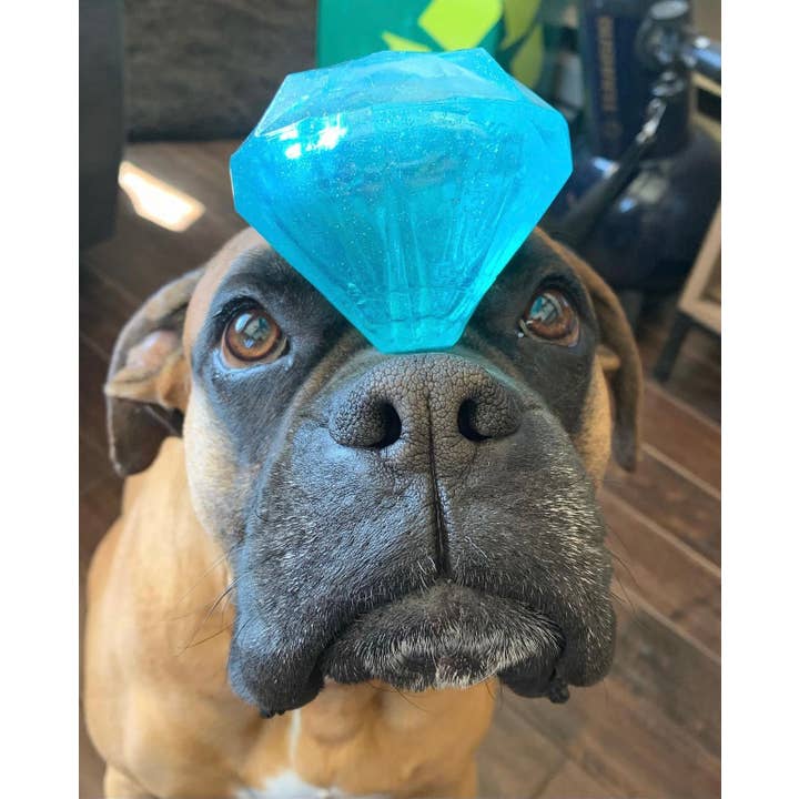 Spunky Pup - Wholesale Pet Squeaky Toy - Dog - Squeaky Gems! - Diamond and Heart Squeakers