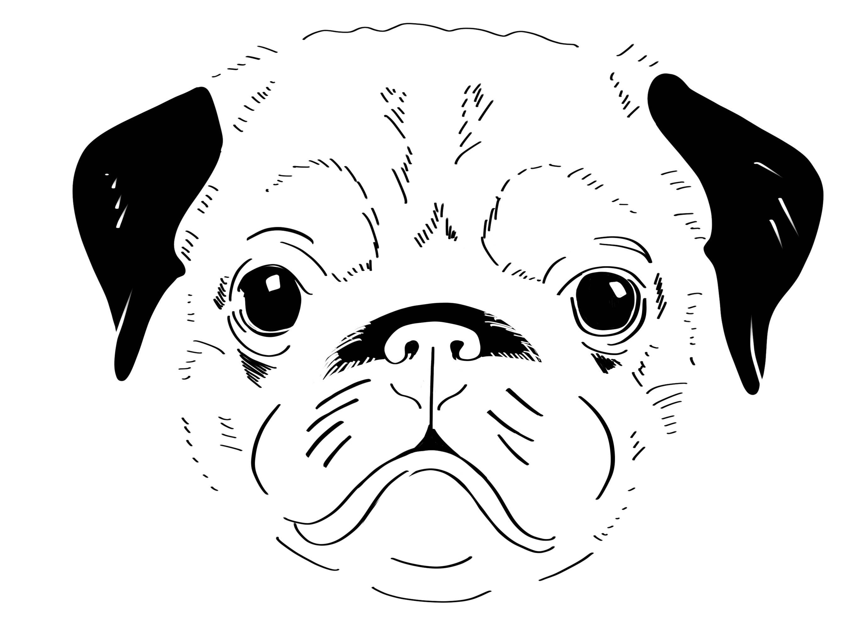 Love & Lion - Venta al por mayor Urna/caja de recuerdos para mascotas - Retrato personalizado de mascota7