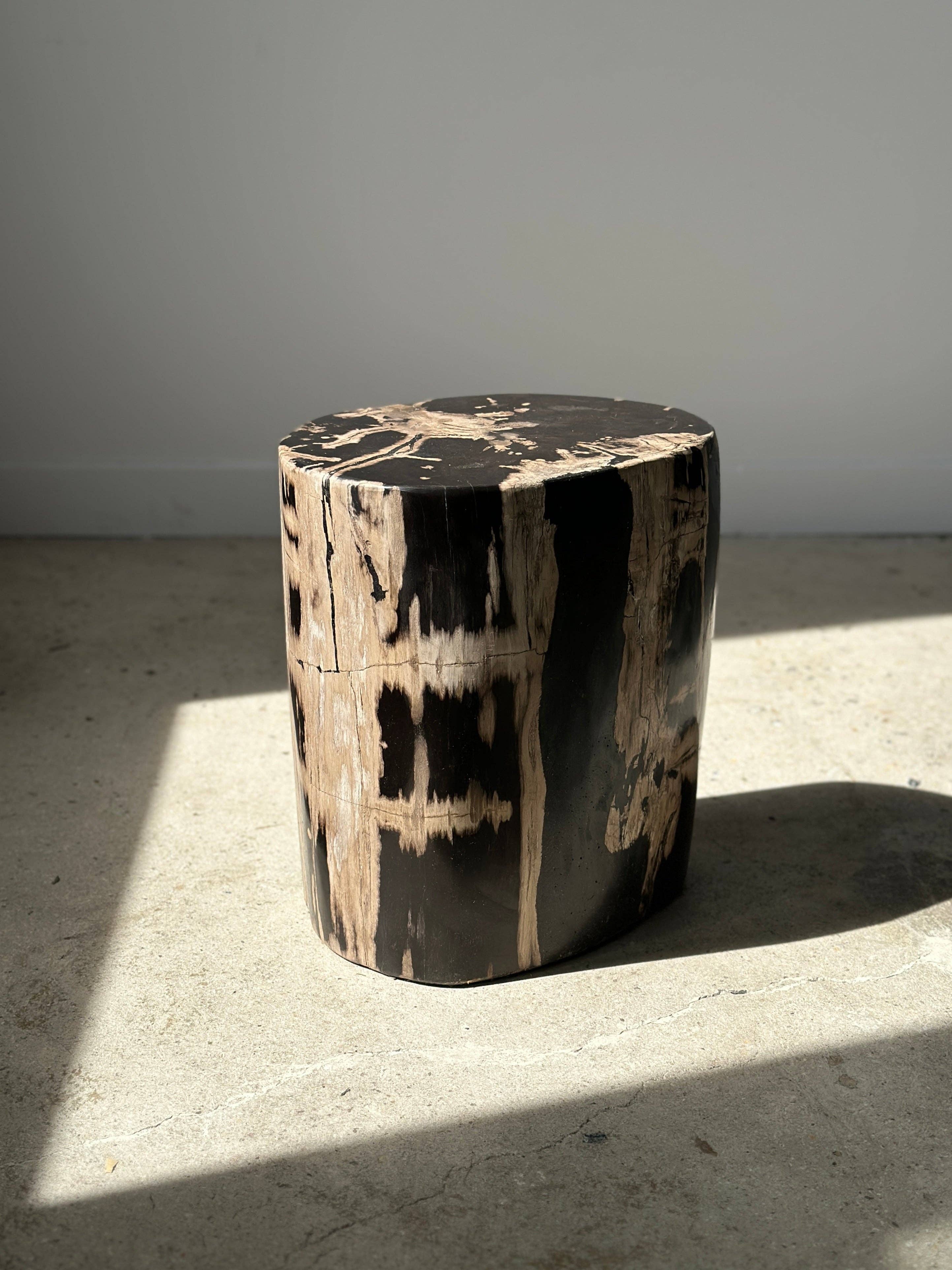 Office Objets - Vente Tables d'appoint - Table d'appoint en bois pétrifié39