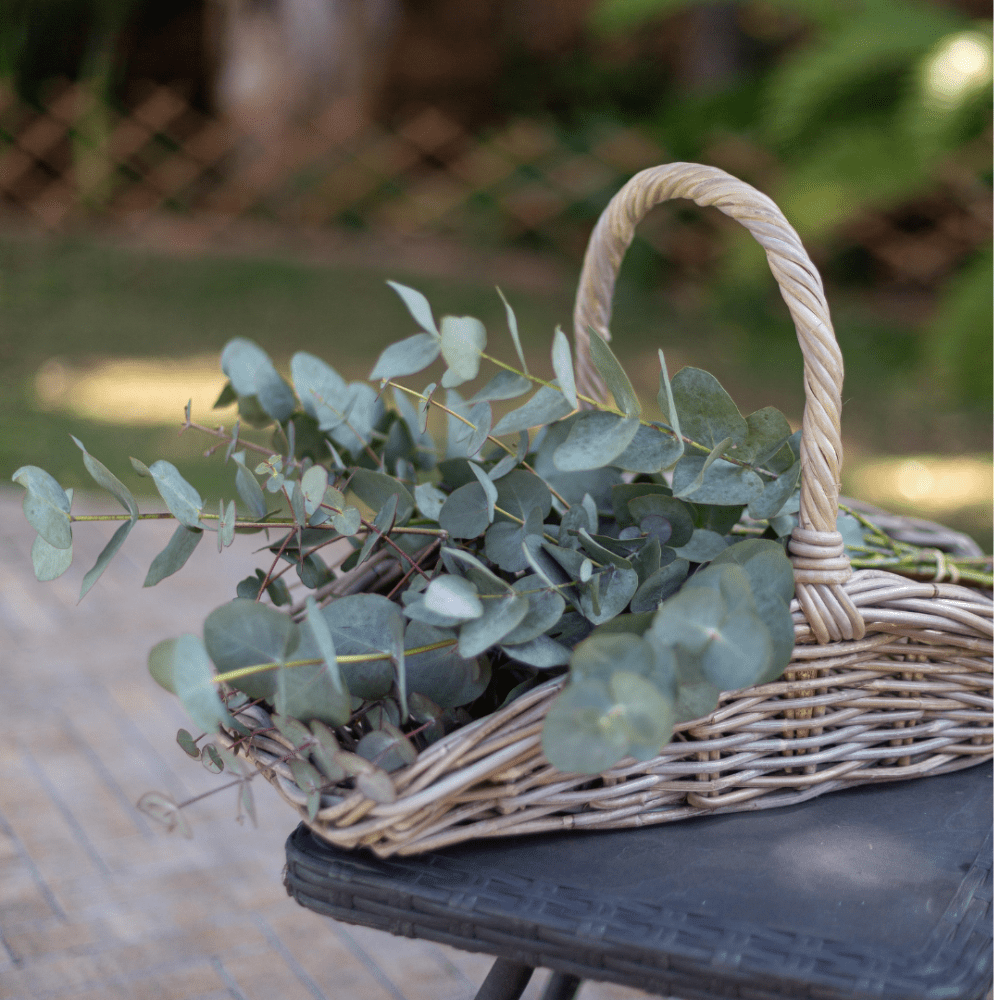 Basketly - Vente Paniers - Panier Trug de Jardin en Rotin3