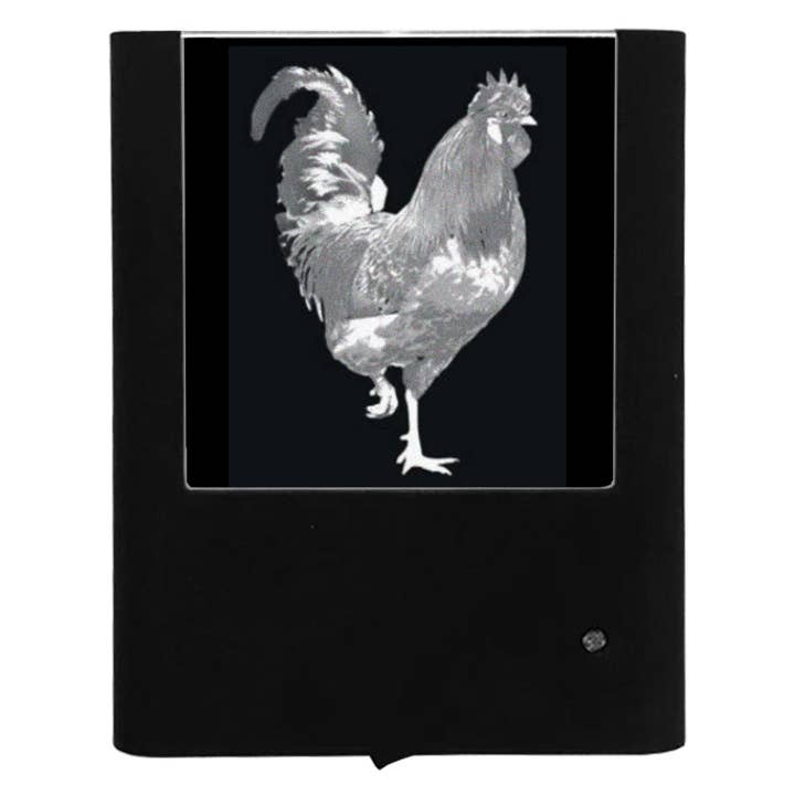 Engraved Rooster for wholesale by Nightlight Studio