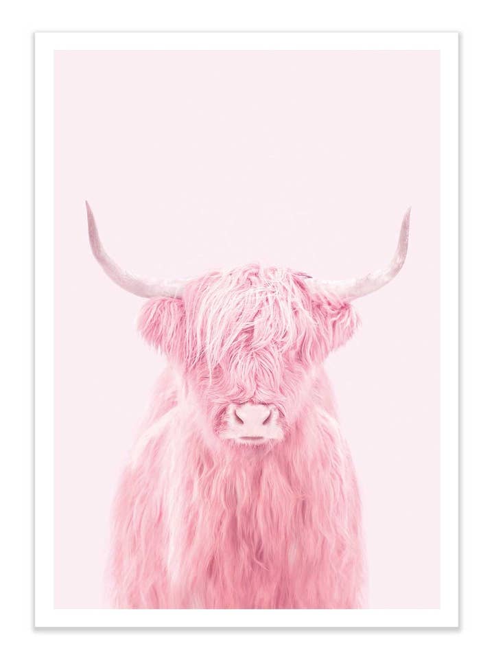 Art-Poster - Highland cow - Paul Fuentes for wholesale by Wall Editions