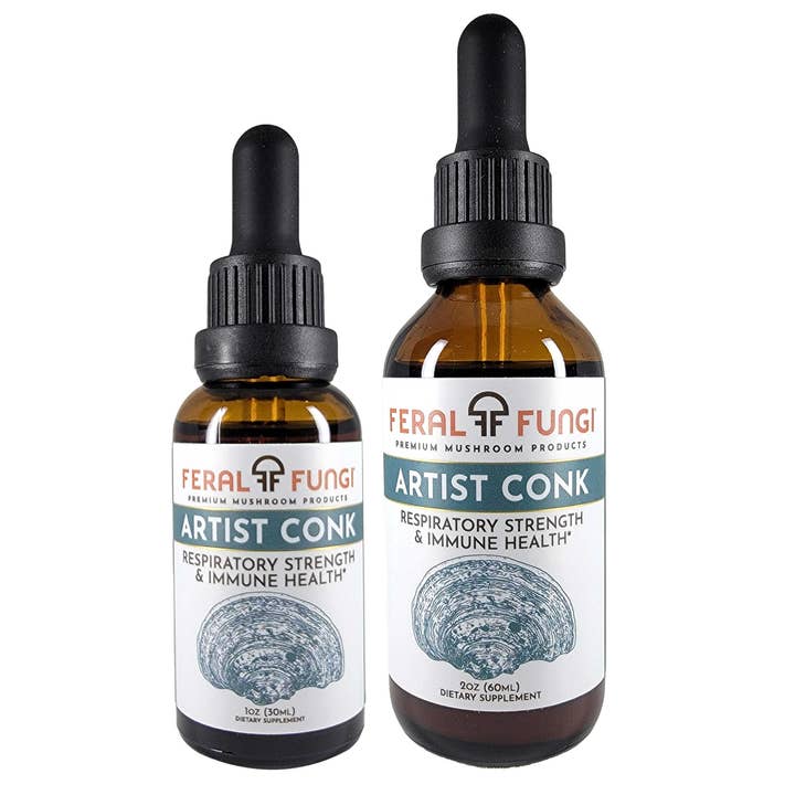 Feral Fungi - Wholesale Tincture - Artist Conk (Ganoderma applanatum) Spagyric Tincture
