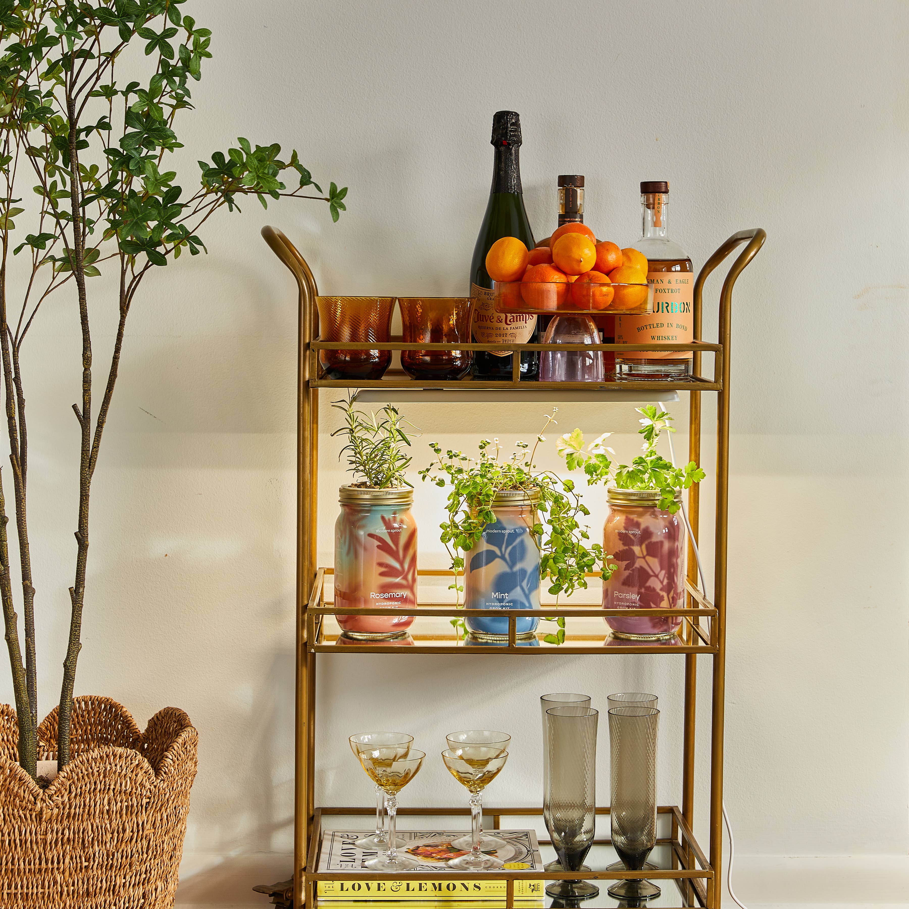 Modern Sprout - Wholesale Plant Pot - Herb Garden Jar18