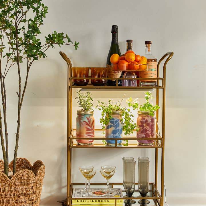 Modern Sprout - Wholesale Plant Pot - Herb Garden Jar18