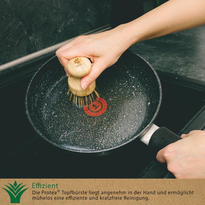 PROTEA - Wholesale Cleaning brush - PROTEA Set of 2 Natural Bristle Replacement Heads for Dish Brush and T3