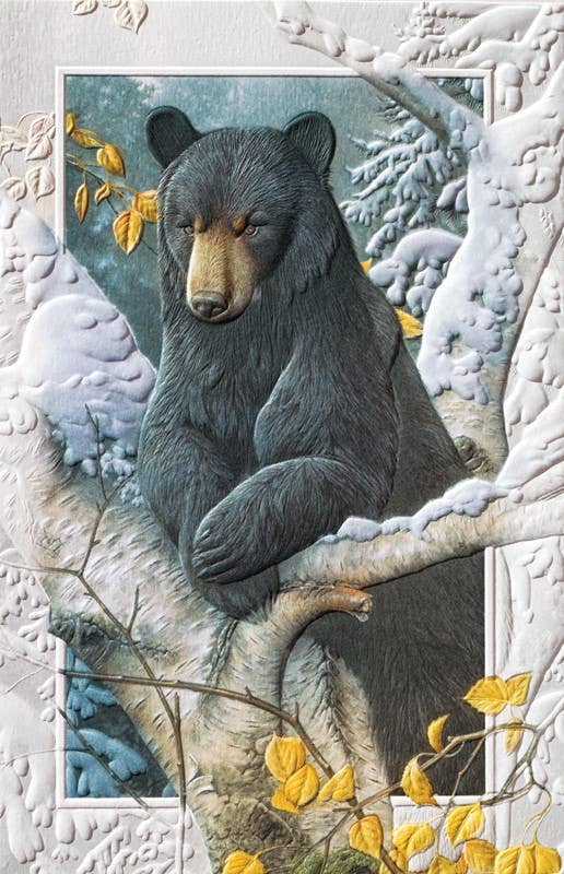 Pumpernickel Press - Wholesale Birthday Card - Lazy Boy - Deluxe0