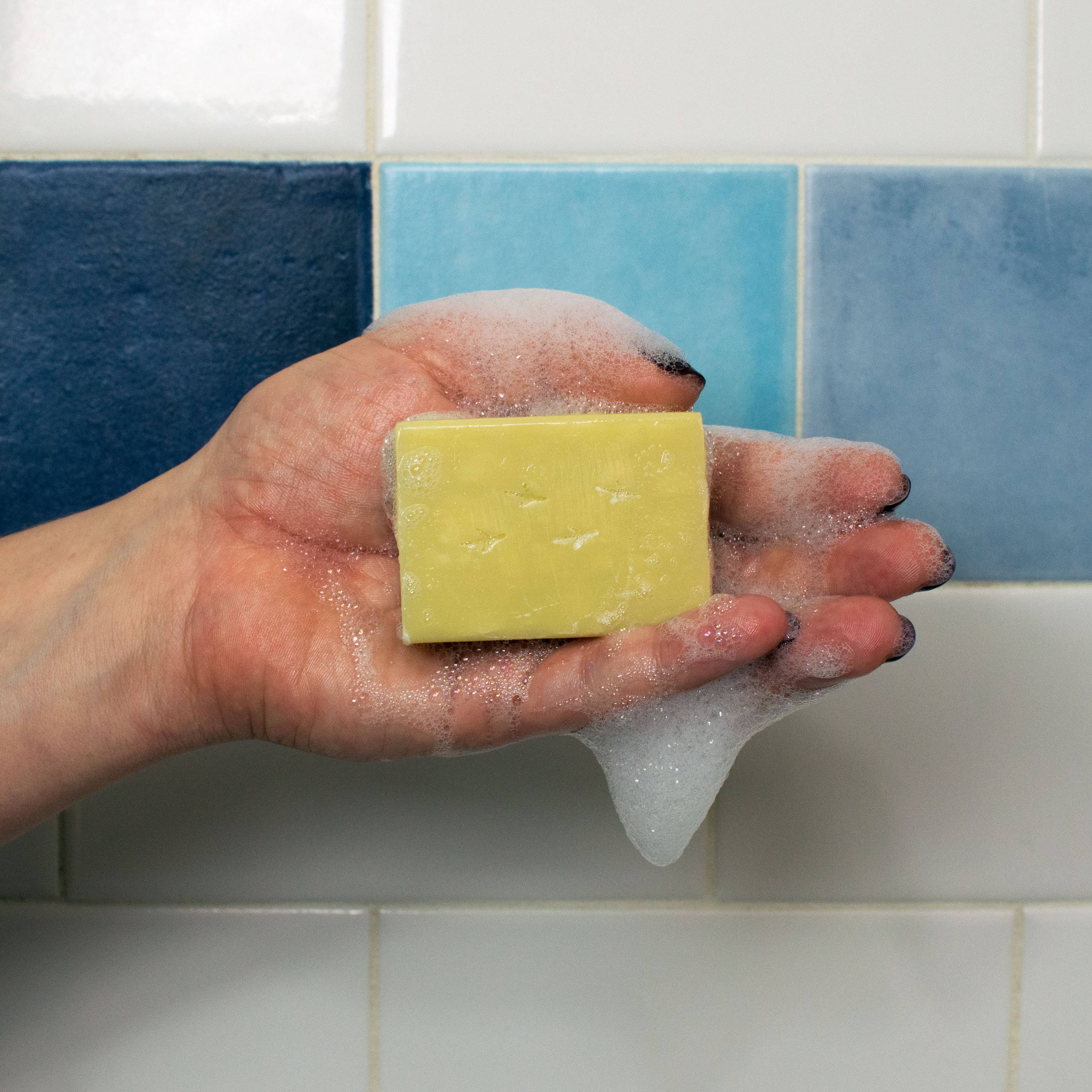 Unemployed Philosophers Guild – sabonete sólido por atacado – Sabonete Bird Bath4