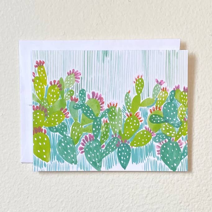 Cacti Field for wholesale by LLUBAV CO.