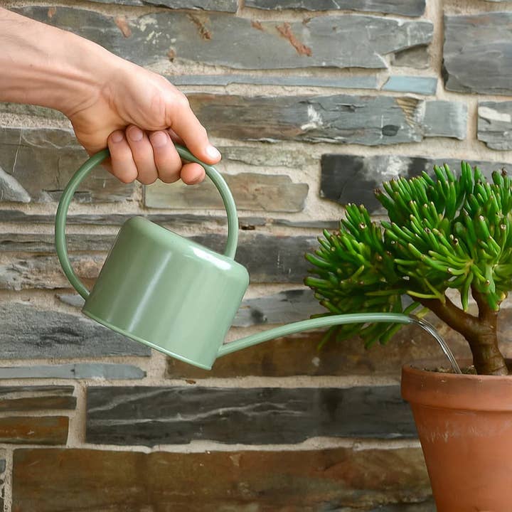 Wholesale Gifts Tomorrow - Wholesale Watering Can - Indoor Watering Can (Sage Green) (1.1 litre) Coated Steel3