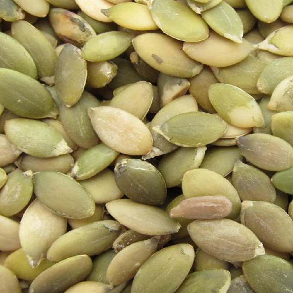 Lark Ellen Farm - Wholesale Seeds/Kernels - Pumpkin Seeds, Sprouted Organic (Pepitas)2