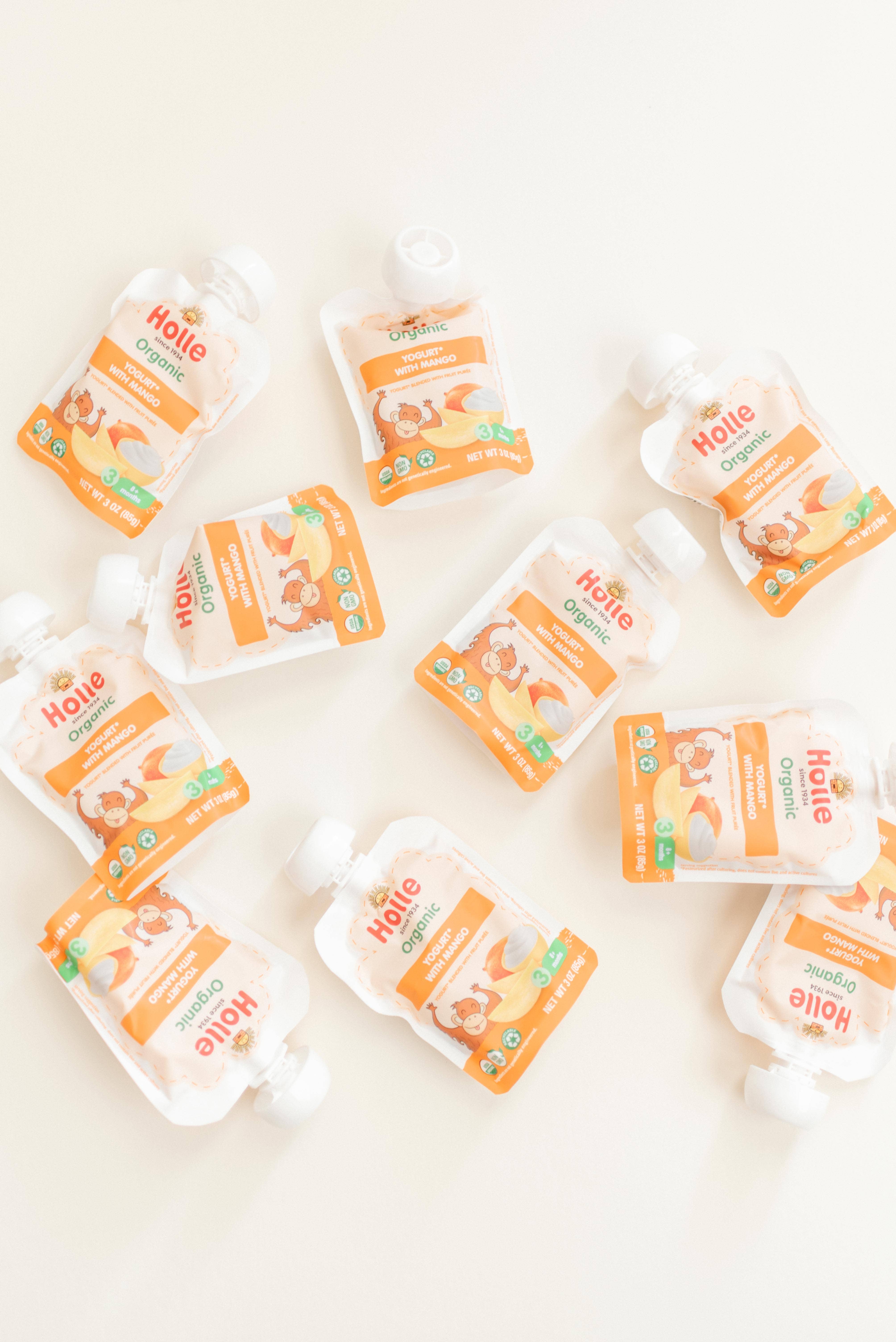 Holle USA - Wholesale Baby Food - Holle Organic Yogurt Pouches: Mango (10 pack)5