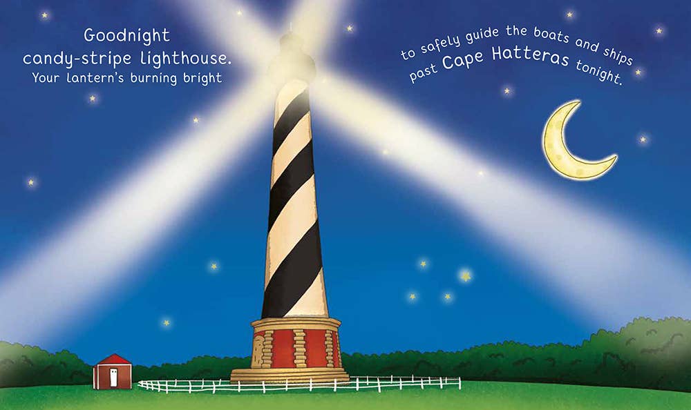 Sourcebooks - Wholesale Baby & Toddler Book (0-2) - Night-Night North Carolina3