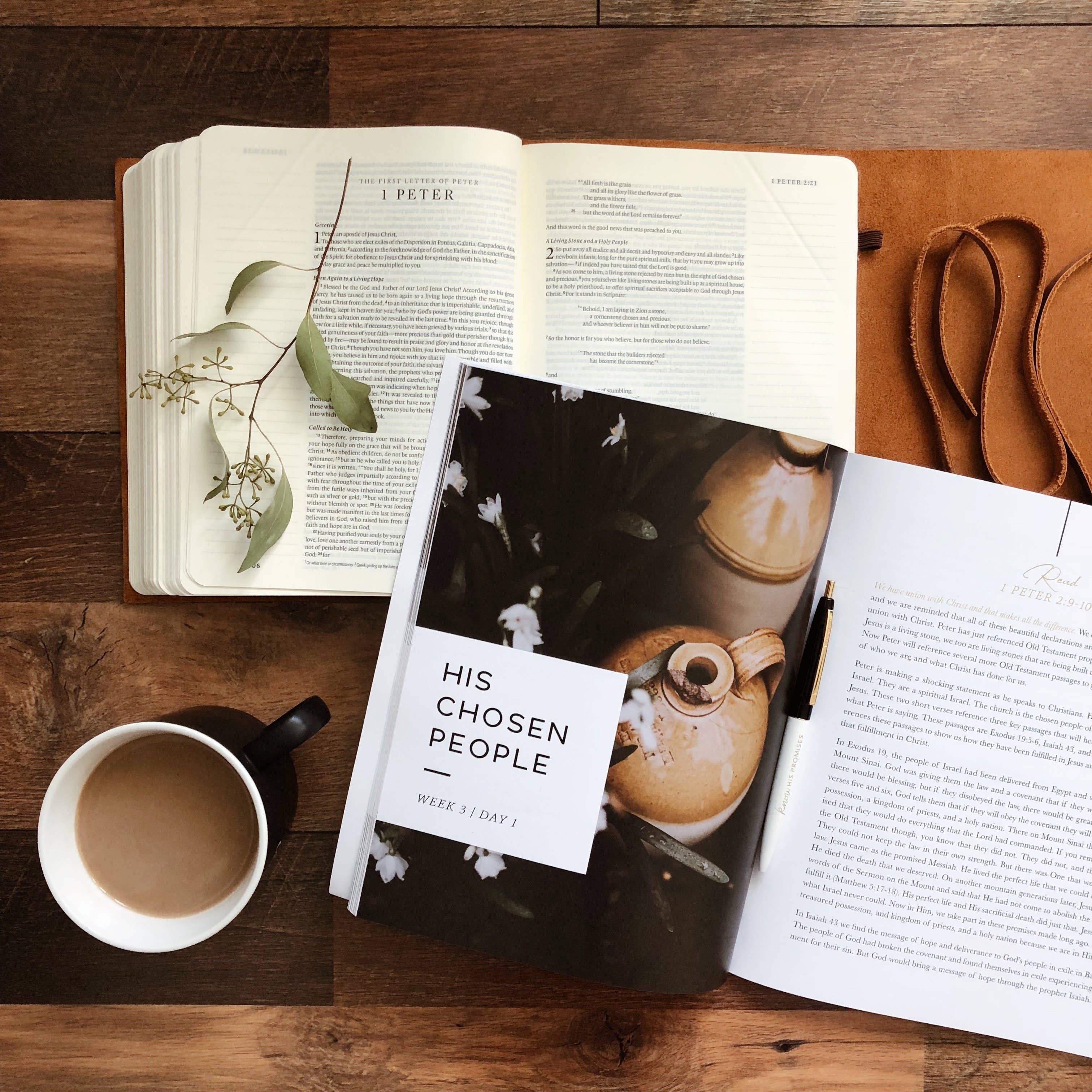 The Daily Grace Co - Wholesale Religion - Grace in the Wilderness | Study on 1 Peter1