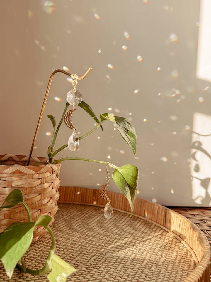 Pflanzenstütze und Weinreben-Charme-Set | Sonnenfänger + Mond für den Großhandel von Meraki The Studio Co.