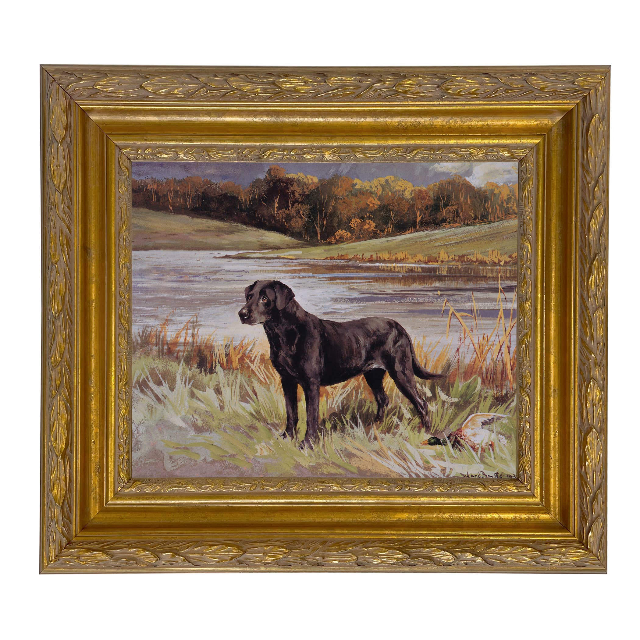 Madison Bay Co. - Historical Home Decor Reproductions - Wholesale Art Print - Labrador Retriever with Duck Framed Painting Print on Canvas70