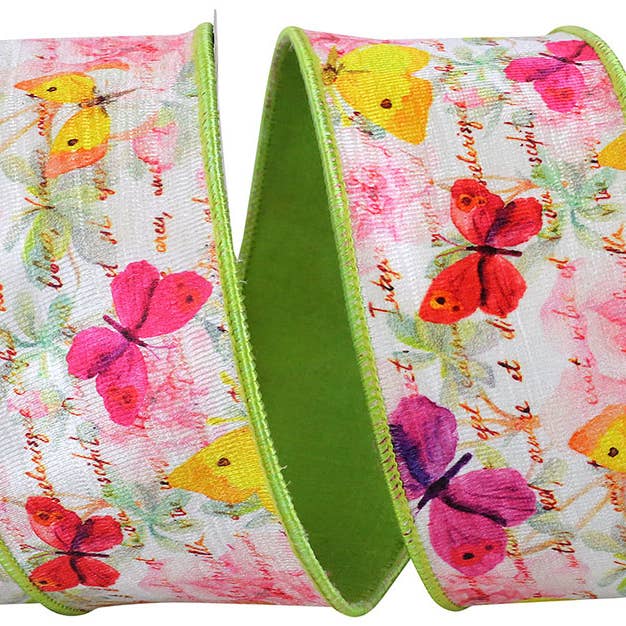 Butterfly Watercolor Citrus Wired Edge, Citrus, 2-1/2 In for wholesale by RELIANT RIBBON