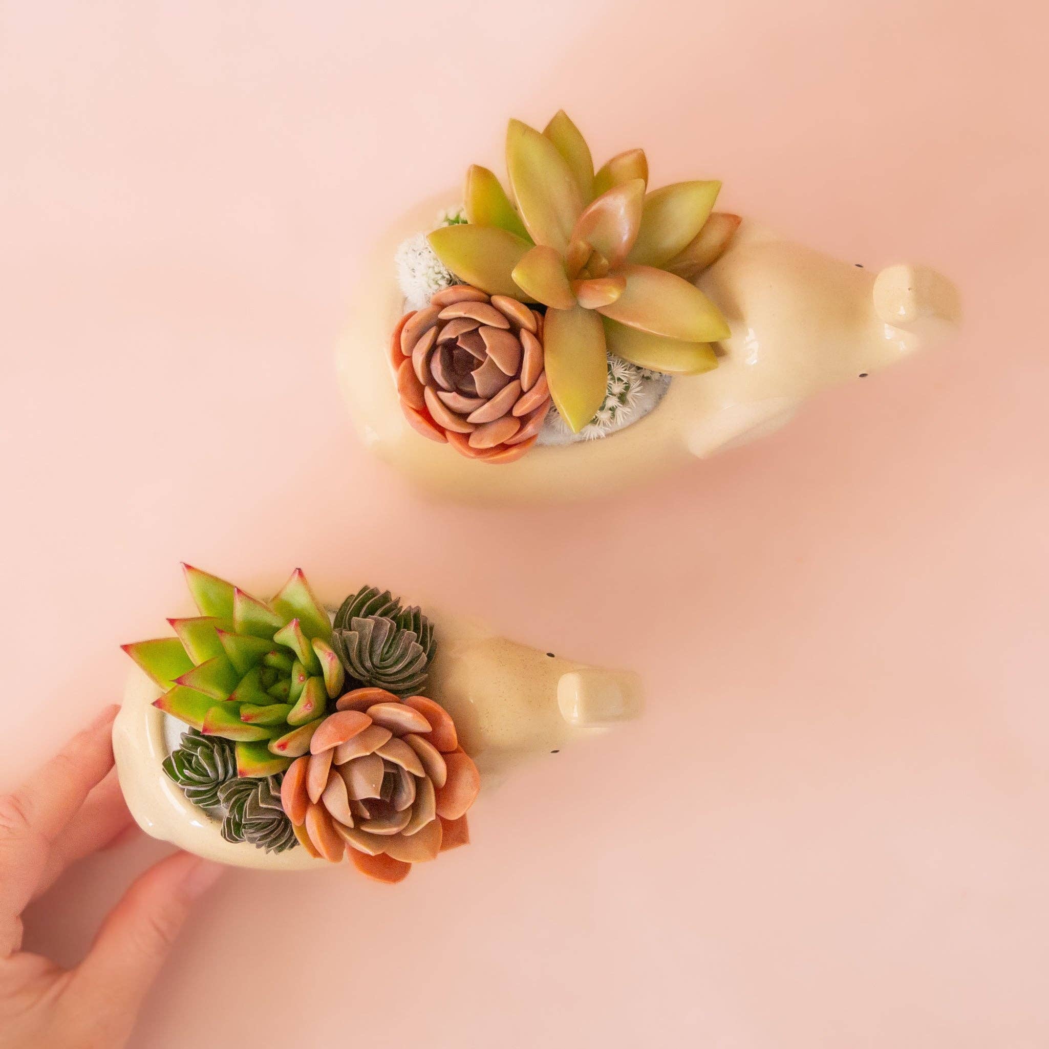 Jungle Club - Wholesale Plant Pot - Elephant Planter | Sand4