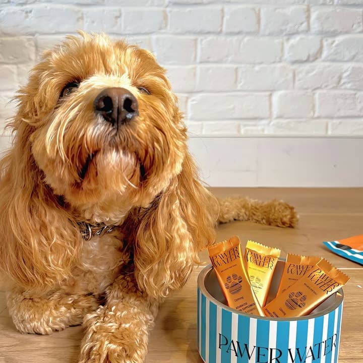 Pawer Water – wholesale Pet supplement – Dog – PAWER WATER For Dogs : CALMING | Sticks Bulk